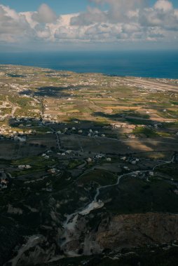 Santorini 'de gündoğumu kır çiçekleri. Yüksek kalite fotoğraf