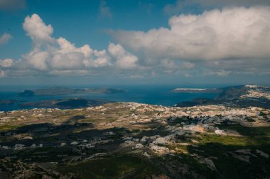 Santorini 'de gündoğumu kır çiçekleri. Yüksek kalite fotoğraf