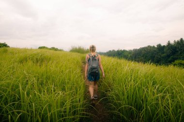 Campuhan Sırtı sanatçıları, Bali, Ubud 'da. Güzel, sakin, güneşli bir sabah. Yüksek kalite fotoğraf