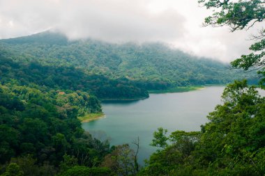 Güzel bir Büyük Göl 'ün, tropik bir cennetin, palmiye ağaçlarının, egzotik ağaçların ve Bali' deki dağların en üst hava manzarası. Yüksek kalite fotoğraf
