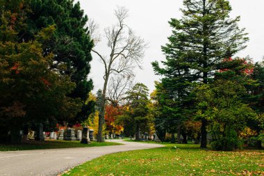 Toronto Ontario - 23 Ekim 2023: Mount Pleasant Mezarlığında Sonbahar Günü. Yüksek kalite fotoğraf
