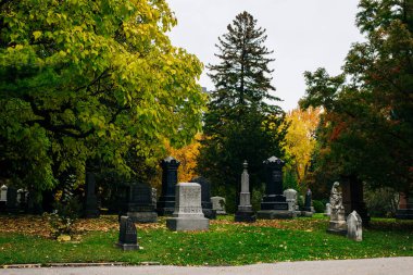 Toronto Ontario - 23 Ekim 2023: Mount Pleasant Mezarlığında Sonbahar Günü. Yüksek kalite fotoğraf