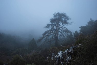 Sis, hindi dağlarında. Yüksek kalite fotoğraf