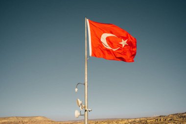 Sahada güzel bir Appaloosa midillisi var. Yüksek kalite fotoğraf