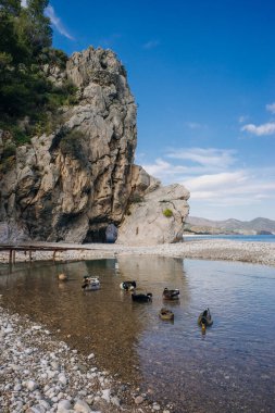 Cirali, Türkiye 'deki doğal plaj. Yüksek kalite fotoğraf