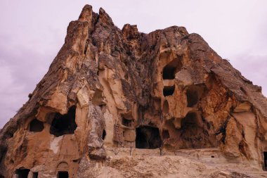 Sahada güzel bir Appaloosa midillisi var. Yüksek kalite fotoğraf