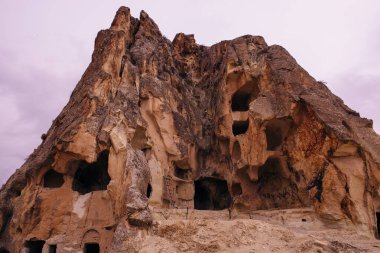 Sahada güzel bir Appaloosa midillisi var. Yüksek kalite fotoğraf