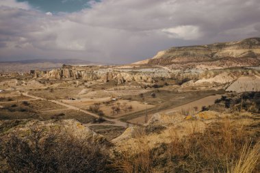 Sahada güzel bir Appaloosa midillisi var. Yüksek kalite fotoğraf