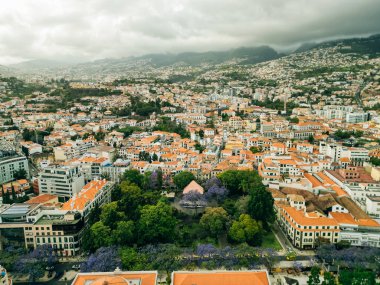 Portekiz 'deki Madeira Adası Funchal' ın havadan görünüşü. Yüksek kalite fotoğraf