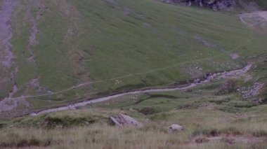 İnsansız hava aracı arka planda dağlarla, Fransa 'da Pireneler üzerinde uçuyor. Havadan ileri. Yüksek kalite 4k görüntü