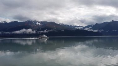 Alaska 'daki Kenai Fjords Ulusal Parkı' nda mavi sular ve ağaçlar taşlarla kaplıydı. Yüksek kalite 4k görüntü