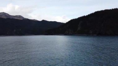Alaska 'daki Kenai Fjords Ulusal Parkı' nda mavi sular ve ağaçlar taşlarla kaplıydı. Yüksek kalite 4k görüntü