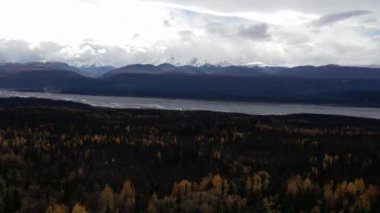 Alaska 'daki Denali Ulusal Parkı' ndaki renkli ağaçların ve kozalaklı ağaçların hava manzarası. Yüksek kalite 4k görüntü