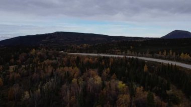 Alaska 'daki Denali Ulusal Parkı' ndaki renkli ağaçların ve kozalaklı ağaçların hava manzarası. Yüksek kalite 4k görüntü