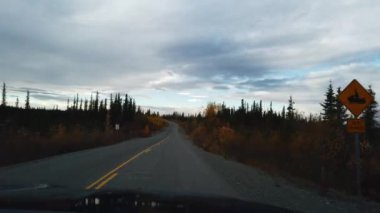 Şiddetli yağmurda arabada silecekler Alaska 'daki camları temizliyor. Yüksek kalite 4k görüntü