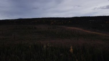 Alaska 'daki Denali Ulusal Parkı' ndaki renkli ağaçların ve kozalaklı ağaçların hava manzarası. Yüksek kalite 4k görüntü