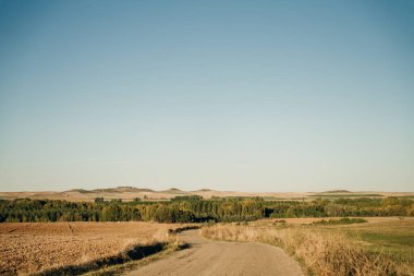 İspanya, Navarra 'da güneş doğarken Camino de Santiago' da. Yüksek kalite fotoğraf