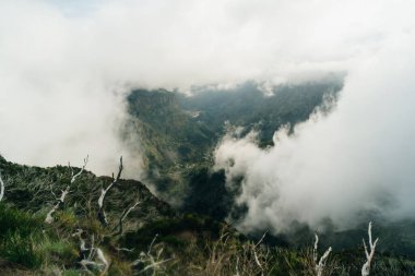 Levada do Norte, Madeira Adası, Portekiz 'de şelaleli sihirli sisli yeşil orman. PR17 Pinaculo ve Folhadal. Yüksek kalite fotoğraf