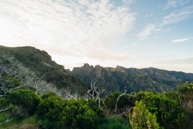 Pico do Areeiro 'dan Pico do Areeiro' ya Iconic Madeira yürüyüşü bulutların üzerinde güzel dağ zirveleri olan görkemli bir manzara. Yüksek kalite fotoğraf