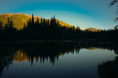 Lake Clark National Park, Alaska. A beaver dam or beaver impoundment is a dam built by beavers to create a pond. High quality photo clipart