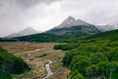 Ushuaia, Arjantin 'de dağlar ve sonbahar yaprakları. Yüksek kalite fotoğraf