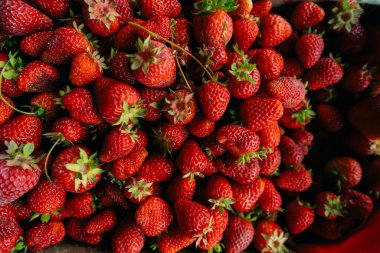 Kırmızı olgun çilek arka planı. Yaklaş, üstten bak. Yüksek kalite fotoğraf