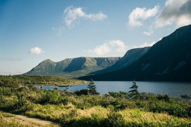 Trail at Western Brook Pond in Gros Morne National Park, Newfoundland and Labrador, Canada. High quality photo clipart