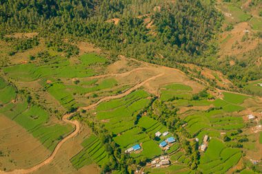 Nepal 'deki yeşil ve renkli pirinç tarlalarının havadan görünüşü. Yüksek kalite fotoğraf