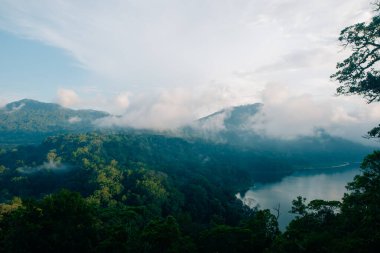 Güzel bir Büyük Göl 'ün, tropik bir cennetin, palmiye ağaçlarının, egzotik ağaçların ve Bali' deki dağların en üst hava manzarası. Yüksek kalite fotoğraf