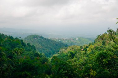 Mancingan köyü, Ubud, Bali, Endonezya 'daki pirinç tarlalarının havadan görünüşü. Yüksek kalite fotoğraf