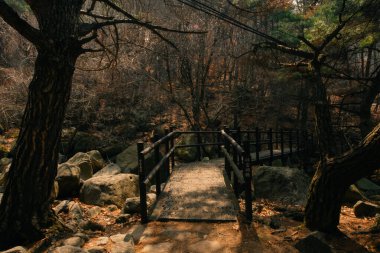 Seul, Bukhansan Ulusal Parkı 'nda taşın zirvesi, sep, 22024. Yüksek kalite fotoğraf