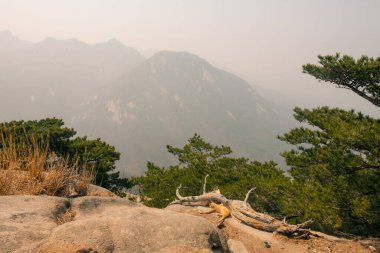 Seul, Bukhansan Ulusal Parkı 'nda taşın zirvesi, sep, 22024. Yüksek kalite fotoğraf