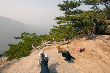 Seul, Bukhansan Ulusal Parkı 'nda taşın zirvesi, sep, 22024. Yüksek kalite fotoğraf