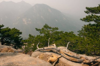 Seul, Bukhansan Ulusal Parkı 'nda taşın zirvesi, sep, 22024. Yüksek kalite fotoğraf