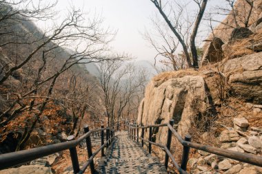 Seul, Bukhansan Ulusal Parkı 'nda taşın zirvesi, sep, 22024. Yüksek kalite fotoğraf