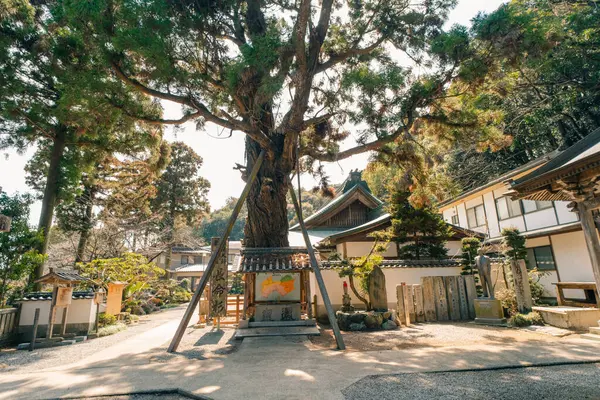 2 Mayıs 2025, Shikoku, Japonya 'daki Gokuraku-ji Tapınağı kutsal hac yolunda sakin bir durak. Yüksek kalite fotoğraf