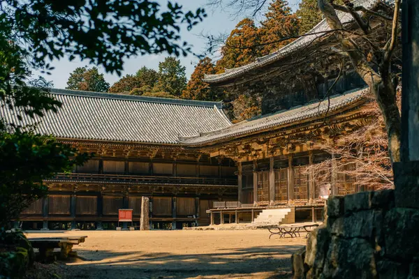 Hyogo, Japonya - 23 Mayıs 2025 Himeji, Hyogo, Japonya 'daki Engyoji tapınağı. Yüksek kalite fotoğraf