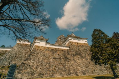Kiraz çiçekleri olan Himeji Kalesi 1333 tarihli Iconic kalesi Honmachi, Himeji, Hyogo, Japonya 'da. Yüksek kalite fotoğraf