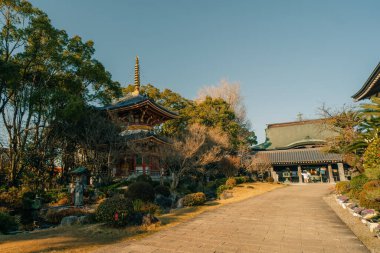 Anrakuji Tapınağı, Shikoku haccında 6., huzurlu kutsal mekan. Yüksek kalite fotoğraf