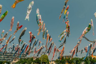 Koinobori, Sazan Bayrakları havada uçuyor. Yüksek kalite fotoğraf