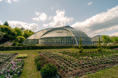 Bahar kiraz çiçeklerindeki Kyoto Botanik Bahçeleri, Kyoto, Japonya - 5 Mayıs 2025. Yüksek kalite fotoğraf