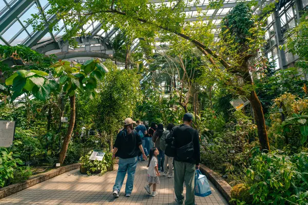 Bahar kiraz çiçeklerindeki Kyoto Botanik Bahçeleri, Kyoto, Japonya - 5 Mayıs 2025. Yüksek kalite fotoğraf