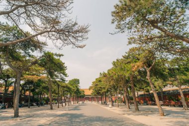 Çin 'in merkezindeki Pekin' deki Yasak Şehir Müzesi 'nin içindeki saraylar ve pagodalar. Yüksek kalite fotoğraf