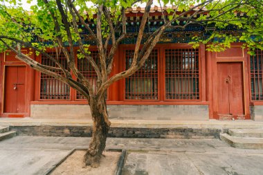 Çin 'in merkezindeki Pekin' deki Yasak Şehir Müzesi 'nin içindeki saraylar ve pagodalar. Yüksek kalite fotoğraf