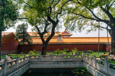 Çin 'in merkezindeki Pekin' deki Yasak Şehir Müzesi 'nin içindeki saraylar ve pagodalar. Yüksek kalite fotoğraf