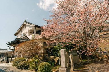Kumadaniji Tapınağı, Tokushima, Japonya 'daki Shikoku Hac seferinin 8. durağı - 2 Mayıs 2025. Yüksek kalite fotoğraf