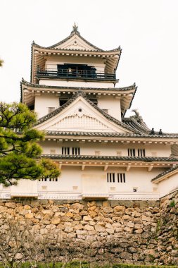 KOCHI, JAPONYA - 2 Mayıs 2025 Kochi Kalesi. Yüksek kalite fotoğraf