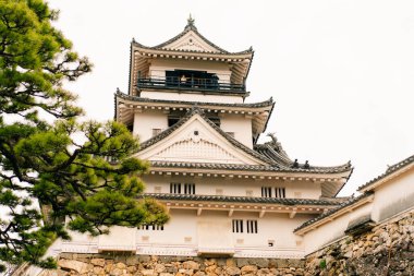 KOCHI, JAPONYA - 2 Mayıs 2025 Kochi Kalesi. Yüksek kalite fotoğraf