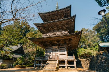  Tokushima, Japonya - 2 Mayıs 2025 Kakurinji Tapınağı No. Shikoku haccında 20 kişi. Yüksek kalite fotoğraf