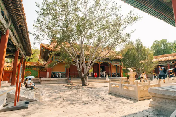 Pekin, Çin Yasak Şehir Kuzey Kapısı 'nda. Yüksek kalite fotoğraf